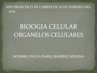 SAN FRANCISCO DE CAMPECHE 18 DE FEBRERO DEL
2013
BIOOGIA CELULAR
ORGANELOS CELULARES
NOMBRE: PAULA ISABEL RAMIREZ MOLINA
 