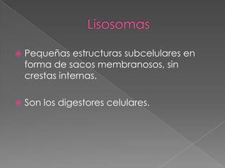

Pequeñas estructuras subcelulares en
forma de sacos membranosos, sin
crestas internas.



Son los digestores celulares.

 