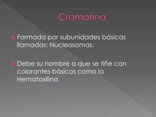 

Formada por subunidades básicas
llamadas: Nucleosomas.



Debe su nombre a que se tiñe con
colorantes básicos como la
Hematoxilina.

 