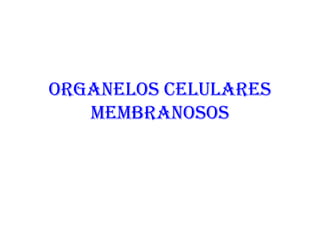 ORGANELOS CELULARES
MEMBRANOSOS
 