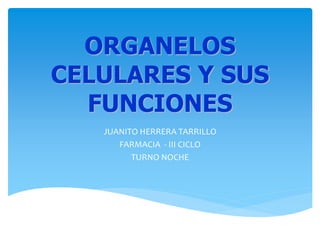 JUANITO HERRERA TARRILLO
FARMACIA - III CICLO
TURNO NOCHE
ORGANELOS
CELULARES Y SUS
FUNCIONES
 