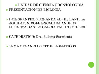 UNIDAD DE CIENCIA ODONTOLOGICA
       

 PRESENTACION DE BIOLOGIA



   INTEGRANTES: FERNANDA ABRIL, DANIELA
    AGUILAR, NICOLE ENCALADA,ANDRES
    ESPINOZA,DANILO GARCIA,FAUSTO MIELES

   CATEDRATICO: Dra. Zulema Sarmiento

   TEMA:ORGANELOS CITOPLASMATICOS
 