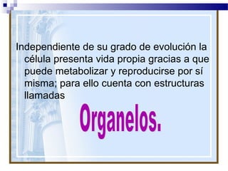 Independiente de su grado de evolución la
célula presenta vida propia gracias a que
puede metabolizar y reproducirse por sí
misma; para ello cuenta con estructuras
llamadas

 