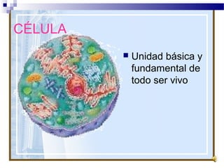 CÉLULA


Unidad básica y
fundamental de
todo ser vivo

 