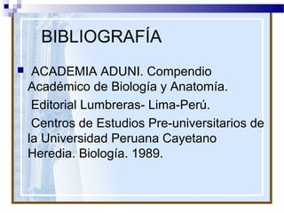 BIBLIOGRAFÍA


ACADEMIA ADUNI. Compendio
Académico de Biología y Anatomía.
Editorial Lumbreras- Lima-Perú.
Centros de Estudios Pre-universitarios de
la Universidad Peruana Cayetano
Heredia. Biología. 1989.

 