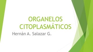 ORGANELOS
CITOPLASMÁTICOS
Hernán A. Salazar G.
 
