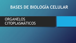 ORGANELOS
CITOPLASMÁTICOS
BASES DE BIOLOGÍA CELULAR
 