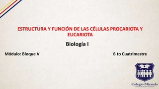 ESTRUCTURA Y FUNCIÓN DE LAS CÉLULAS PROCARIOTA Y
EUCARIOTA
Biología I
Módulo: Bloque V 6 to Cuatrimestre
 