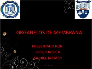 ORGANELOS DE MEMBRANA
PRESENTADO POR:
LIRIS FONSECA
SAJHRA TARIVEH
L.Fonseca, S.Tariveh
 