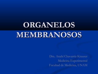 ORGANELOS
MEMBRANOSOS
Dra. Anahí Chavarría Krauser
Medicina Experimental
Facultad de Medicina, UNAM

 