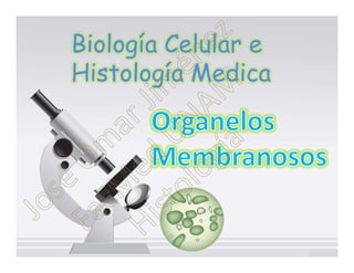 Biología Celular e
Histología Medica

                     C e r
 