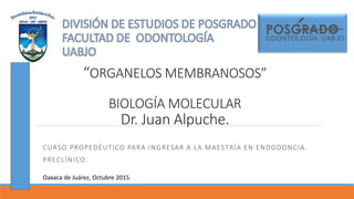 “ORGANELOS MEMBRANOSOS”
BIOLOGÍA MOLECULAR
Dr. Juan Alpuche.
CURSO PROPEDÉUTICO PARA INGRESAR A LA MAESTRÍA EN ENDODONCIA.
PRECLÍNICO.
Oaxaca de Juárez, Octubre 2015.
 