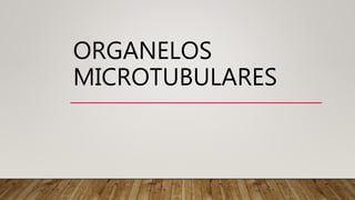 ORGANELOS
MICROTUBULARES
 