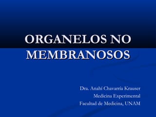 ORGANELOS NO
MEMBRANOSOS
Dra. Anahí Chavarría Krauser
Medicina Experimental
Facultad de Medicina, UNAM

 