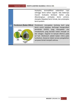 September 1, 2013 [NADYA LUQYANA SALSABILA | XI IA 3 / 24]
BIOLOGY |ORGANEL SEL 4
leukoplas, termodifikasi sedemikian rupa
sehingga berisi bahan organik. Ada beberapa
macam leukoplas berdasar bahan yang
dikandungnya: amiloplas berisi amilum,
elaioplas (lipoplas) berisi lemak, dan proteoplas
berisi protein.
11 Peroksisom (Badan Mikro) Peroksisom merupakan kantong kecil yang
berisi enzim katalase, berfungsi menguraikan
peroksida (H2O2) yang merupakan sisa
metabolisme yang bersifat toksik menjadi air
dan oksigen. Organel ini banyak ditemui pada
sel hati. Glioksisom adalah badan mikro pada
tumbuhan, berperan dalam proses pengubahan
senyawa lemak menjadi sukrosa.
 