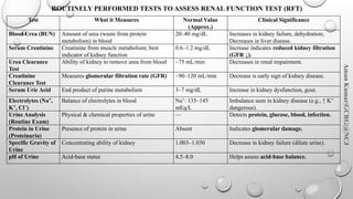 Normal Rft Values Comprehensive Overview of Organ Function Tests in Clinical Biochemistry ...