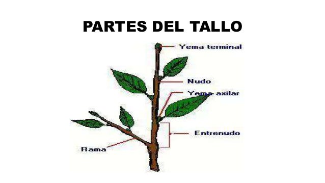 Imagen relacionada