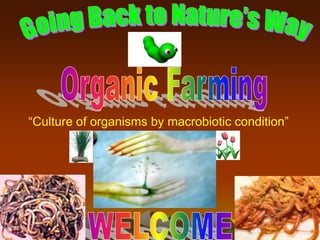 1
“Culture of organisms by macrobiotic condition”
 