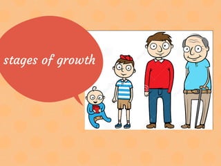 stages of growth
 