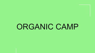 ORGANIC CAMP
 