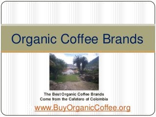 Organic Coffee Brands
Bywww.BuyOrganicCoffee.org
The Best Organic Coffee Brands
Come from the Cafetero of Colombia
 