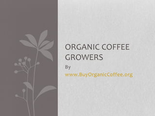 ORGANIC COFFEE
GROWERS
By
www.BuyOrganicCoffee.org
 