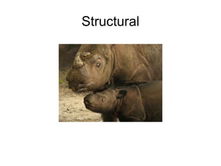 Structural 