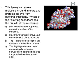 This lysozyme protein molecule is found in tears and protects the eye from bacterial infections.  Which of the following best describes the outside of the molecule? Mostly hydrophobic R-groups are on the surface of the molecule. b) Mostly hydrophilic R-groups are on the surface of the molecule.  c) The R-groups on exterior of the molecule are mostly non-polar.  d) The R-groups on the exterior are constantly changing between non-polar and polar as the protein chain bends and folds. 0 