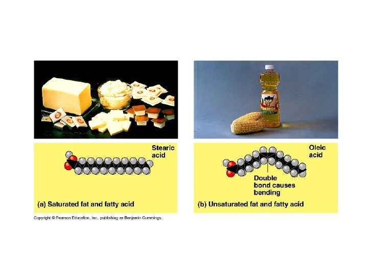 Biology Organic Compounds