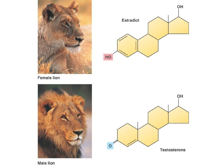 Biology Organic Compounds