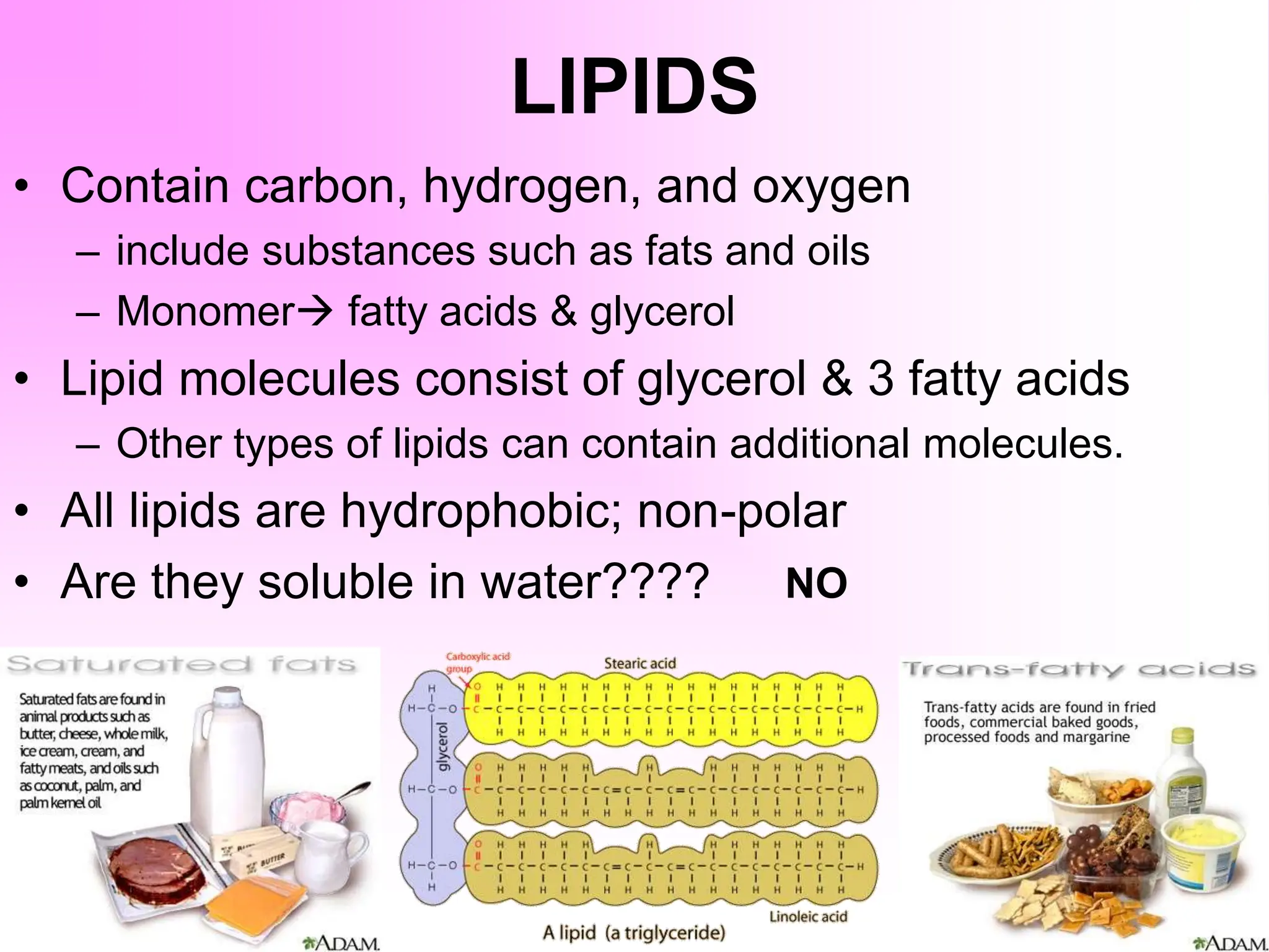LIPIDS
• Contain carbon, hydrogen, and oxygen
– include substances such as fats and oils
– Monomer fatty acids & glycerol
• Lipid molecules consist of glycerol & 3 fatty acids
– Other types of lipids can contain additional molecules.
• All lipids are hydrophobic; non-polar
• Are they soluble in water???? NO
 