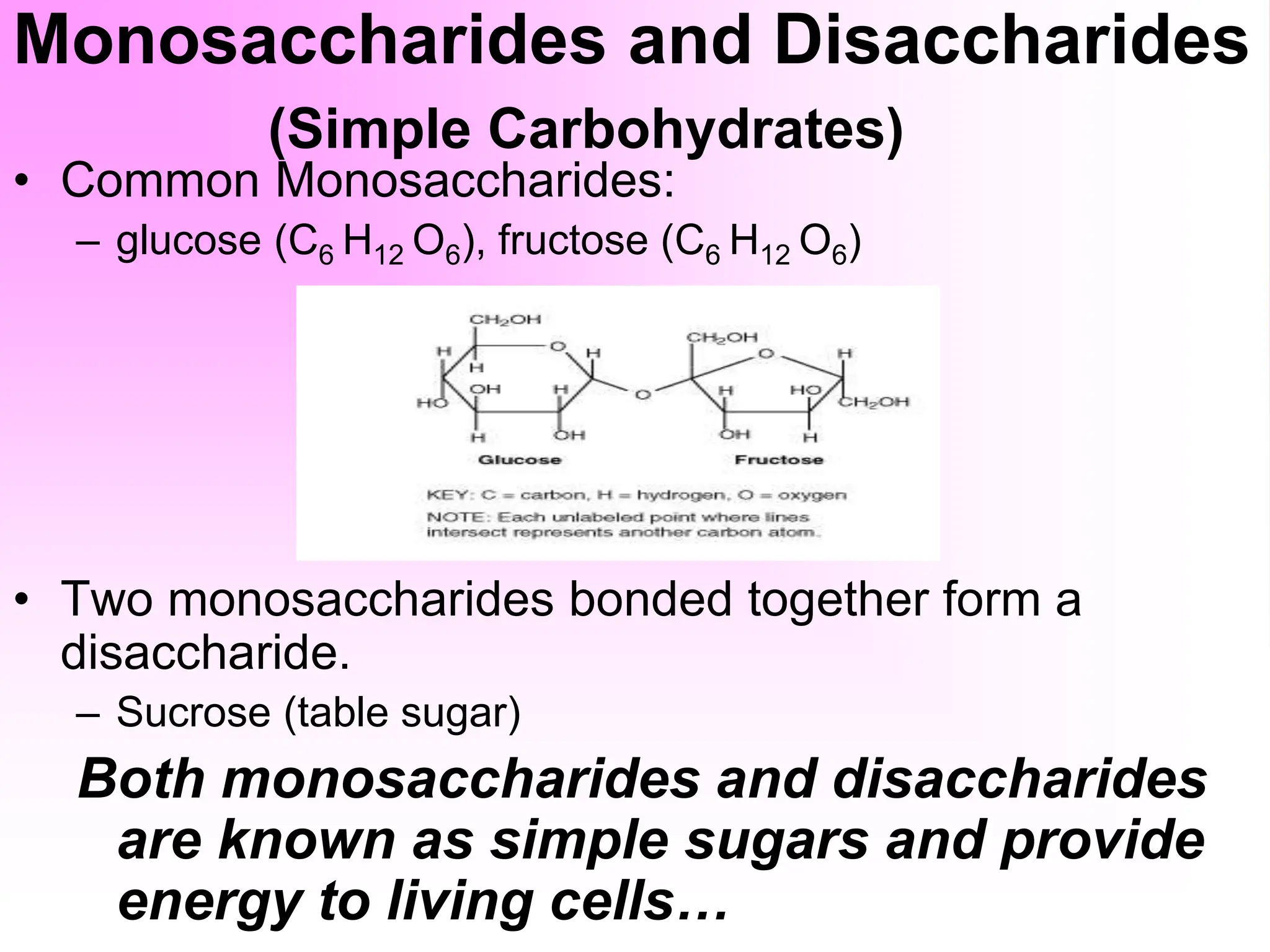 Monosaccharides and Disaccharides
(Simple Carbohydrates)
• Common Monosaccharides:
– glucose (C6 H12 O6), fructose (C6 H12 O6)
• Two monosaccharides bonded together form a
disaccharide.
– Sucrose (table sugar)
Both monosaccharides and disaccharides
are known as simple sugars and provide
energy to living cells…
 