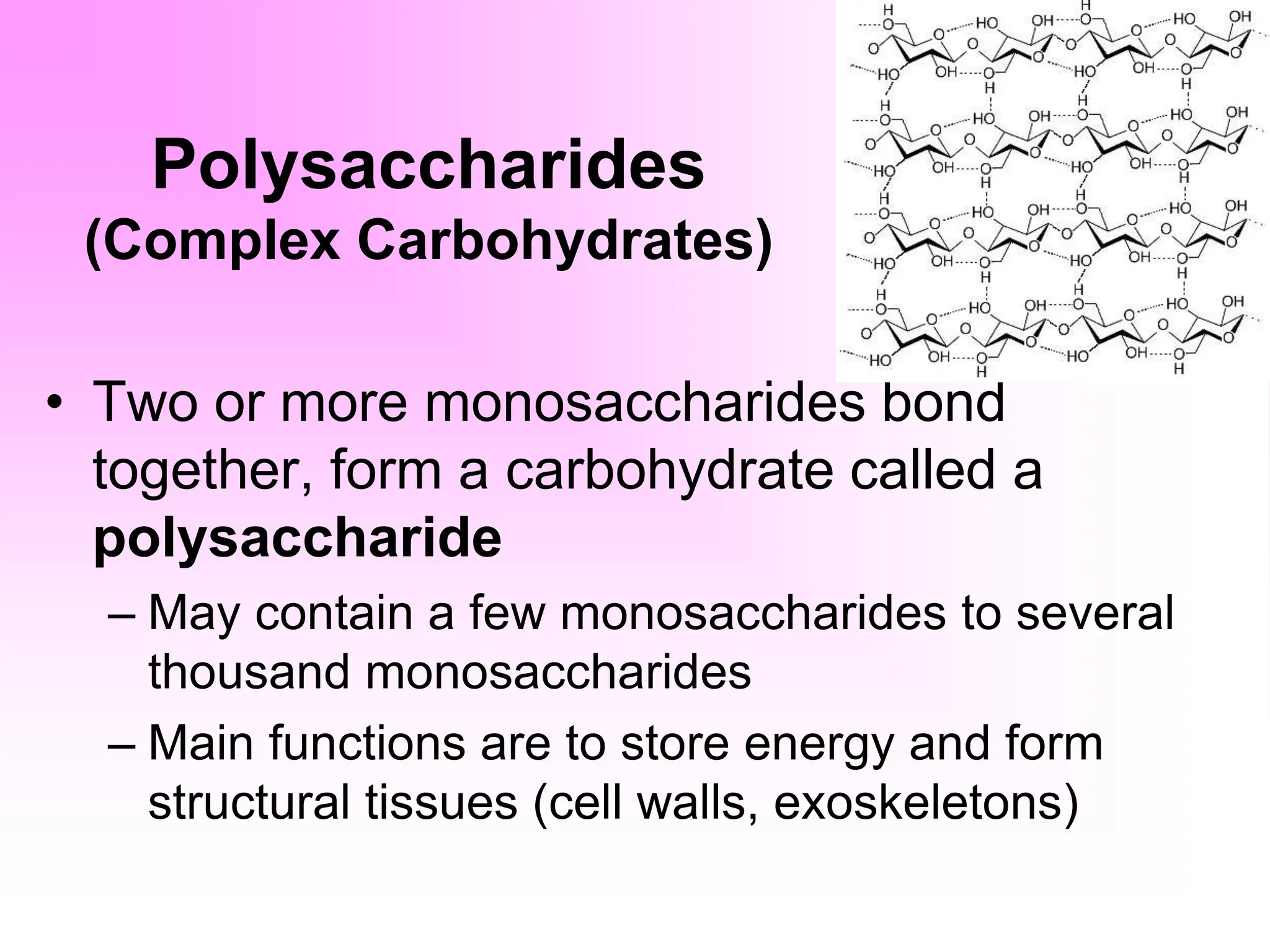Polysaccharides
(Complex Carbohydrates)
• Two or more monosaccharides bond
together, form a carbohydrate called a
polysaccharide
– May contain a few monosaccharides to several
thousand monosaccharides
– Main functions are to store energy and form
structural tissues (cell walls, exoskeletons)
 