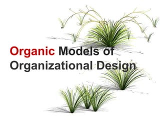 Organic Models of
Organizational Design
 
