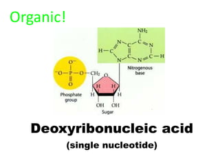 Organic!




  Deoxyribonucleic acid
           (single nucleotide)
 
