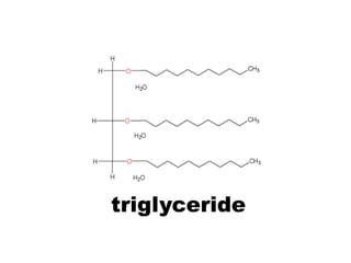 triglyceride
 
