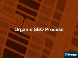 Organic SEO Process   