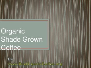Organic
Shade Grown
Coffee
 