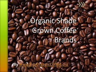 Organic Shade
Grown Coffee
Brands

 