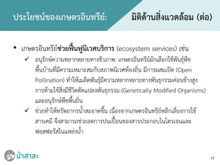 12
• เกษตรอินทรียชวยฟนฟูนิเวศบริการ (ecosystem services) เชน
 อนุรักษความหลากหลายทางชีวภาพ: เกษตรอินทรียมักเลือกใชพันธุพืช
พื้นบานที่มีความเหมาะสมกับสภาพนิเวศทองถิ่น มีการผสมเปด (Open
Pollination) ทําใหเมล็ดพันธุมีความหลากหลายทางพันธุกรรมคอนขางสูง
การหามใชสิ่งมีชีวิตดัดแปลงพันธุกรรม (Genetically Modified Organisms)
และอนุรักษพืชพื้นถิ่น
 ชวยทําใหทรัพยากรน้ําสะอาดขึ้น เนื่องจากเกษตรอินทรียหลีกเลี่ยงการใช
สารเคมี จึงสามารถชวยลดการปนเปอนของสารประกอบไนโตรเจนและ
ฟอสฟอรัสในแหลงน้ํา
ประโยชนของเกษตรอินทรีย: มิติดานสิ่งแวดลอม (ตอ)
 