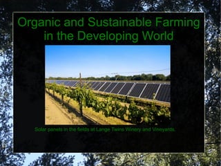 Organic and Sustainable Farming in the Developing World Solar panels in the fields at Lange Twins Winery and Vineyards. 