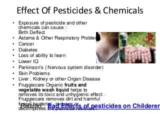 Effect Of Pesticides & Chemicals
• Exposure of pesticide and other
chemicals can cause :
Birth Deffect
• Astama & Other Respiratory Problems
• Cancer
• Diabetes
• Loss of ability to learn
• Lower IQ
• Parkinson's ( Nervous system disorder)
• Skin Problems
• Liver , Kidney or other Organ Disease
• Fruggiecare Organic fruits and
vegetable wash liquid helps to
removes its toxic and unhygienic effect .
Fruggiecare removes dirt and harmful
fungal bacterial , reduses or
decomposes the pestiside residues .Related : Bad Effects of pesticides on Childeren
 