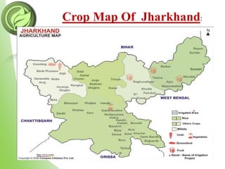 Crop Map Of Jharkhand:
 