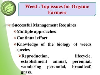 Successful Management Requires
Multiple approaches
Continual effort
Knowledge of the biology of weeds
species
Reproduction, lifecycle,
establishment annual, perennial,
wandering perennial, broadleaf,
grass.
Weed : Top issues for Organic
Farmers
 