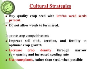 Cultural Strategies
Buy quality crop seed with low/no weed seeds
present.
Do not allow weeds to form seed.
Improve crop competitiveness
Improve soil tilth, aeration, and fertility to
optimize crop growth
Increase crop density through narrow
row spacing and increased seeding rate
Use transplants, rather than seed, when possible
 
