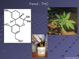 Fenol - THC




              Funções Orgânicas
 