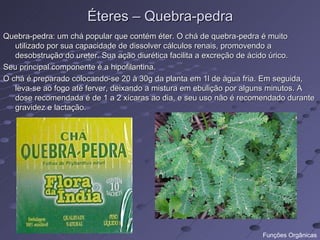 Éteres – Quebra-pedra
Quebra-pedra: um chá popular que contém éter. O chá de quebra-pedra é muito
   utilizado por sua capacidade de dissolver cálculos renais, promovendo a
   desobstrução do ureter. Sua ação diurética facilita a excreção de ácido úrico.
Seu principal componente é a hipofilantina.
O chá é preparado colocando-se 20 à 30g da planta em 1l de água fria. Em seguida,
   leva-se ao fogo até ferver, deixando a mistura em ebulição por alguns minutos. A
   dose recomendada é de 1 a 2 xícaras ao dia, e seu uso não é recomendado durante
   gravidez e lactação.




                                                                     Funções Orgânicas
 