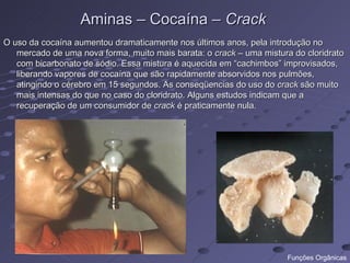 Aminas – Cocaína – Crack
O uso da cocaína aumentou dramaticamente nos últimos anos, pela introdução no
   mercado de uma nova forma, muito mais barata: o crack – uma mistura do cloridrato
   com bicarbonato de sódio. Essa mistura é aquecida em “cachimbos” improvisados,
   liberando vapores de cocaína que são rapidamente absorvidos nos pulmões,
   atingindo o cérebro em 15 segundos. As conseqüencias do uso do crack são muito
   mais intensas do que no caso do cloridrato. Alguns estudos indicam que a
   recuperação de um consumidor de crack é praticamente nula.




                                                                     Funções Orgânicas
 