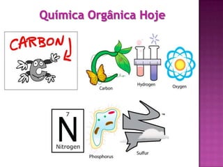 Funções Orgânicas