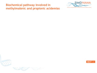 Biochemical pathway involved in methylmalonic and propionic acidemias NEXT >> 